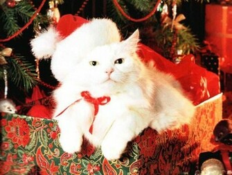 Cute Christmas Desktop Background Wallpaper
