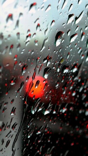 Fresh Rain Drops iPhone 5s Wallpaper