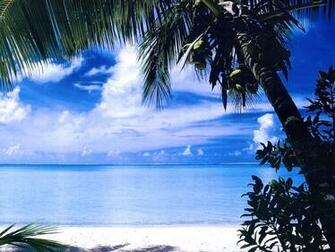 Landscape Wallpaper Tropical Water