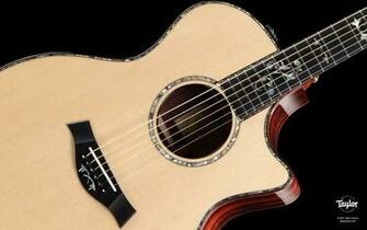 Taylor Guitars Wallpaper