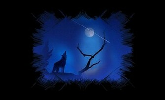 Photo Shooting Star Wallpaper Wolf Album Cherylee21