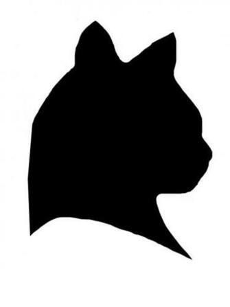 Cat Silhouette By Seiyastock