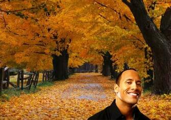 Johnson Wallpaper And Posters Of The Rock Movie Actor