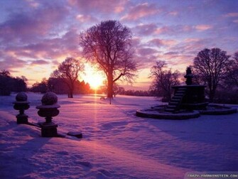 Wallpaper Afternoon Winter Sun