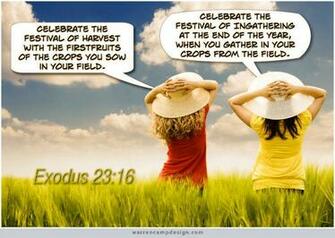Artistic Old Testament Scripture Picture Photos And Wallpaper