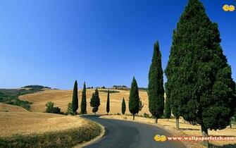 Wallpaper Prehe Nature Pack