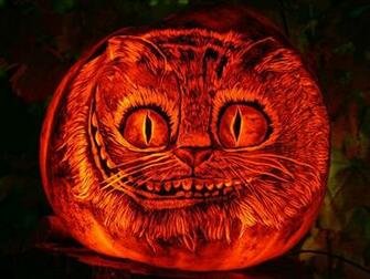 Cat Pumpkin Wallpaper HD Background Cheshire Hos