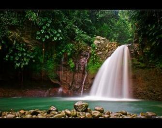 Tropical Waterfalls With Flowers Wallpaper Waterfall By