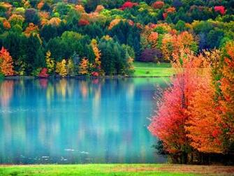 Fall Wallpaper Cynthia Selahblue Cynti19