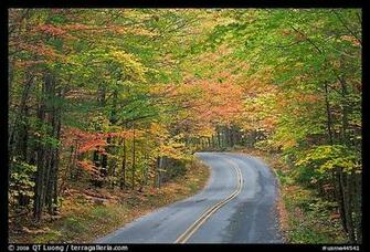 Maine Fall Foliage Wallpaper