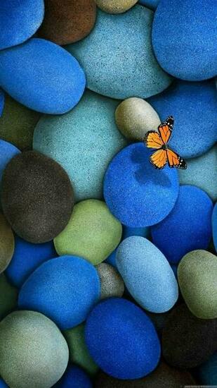 Blue Pebbles Mobile Wallpaper In HD Phone