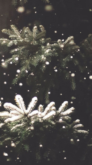 Merry Preppy Christmas iPhone Wallpaper