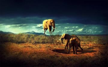 Savana By Rodrigoswr Elephants Photos Wallpaper