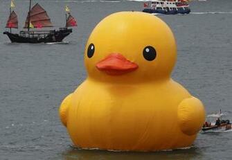 Rubber Duck In Hong Kong