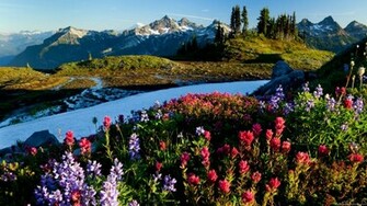 Full HDtv Wallpaper HD Nature Background