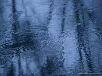 Beautiful Rain Wallpaper Pictures Mobbi World