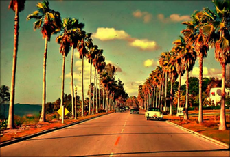 Related Pictures Palm Trees California Dreamin Sunset HD