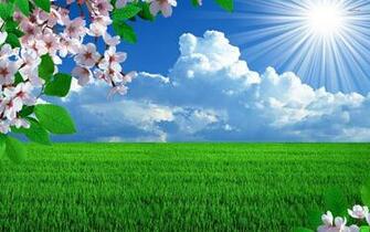 Sunny Spring Day Wallpaper Digital Art
