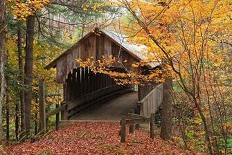 Pin Gold Autumn Bridge Palladian A Lake The Pantheon England Nature On