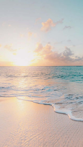 Cute Sea Background Wallpaper