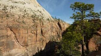 Mlewallpaper Trail To Angels Landing
