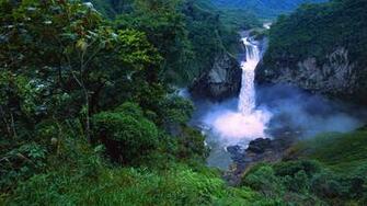 Wallpaper Tropical Nature