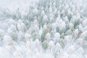 Winter Aesthetic Pictures Image