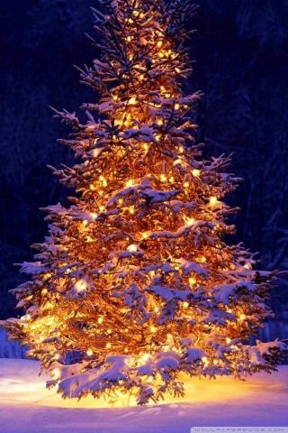 Christmas Outdoor Decorations Ultra HD Desktop Background