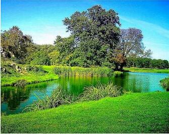 Large Size Image Of Nature Best HD Wallpaper