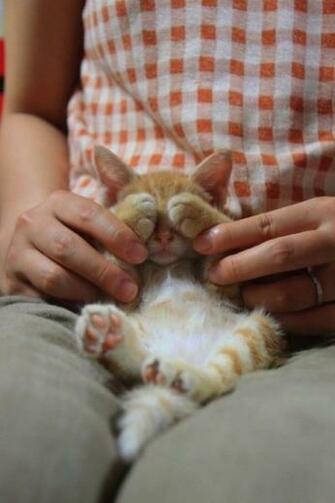 Peek A Boo Photos CuteImage Net