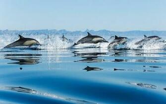 Ocean Widescreen Wallpaper High Definition Quality