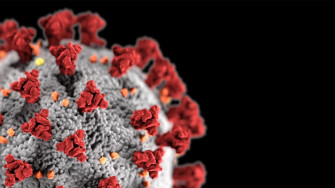 How Viruses Like The Novel Coronavirus Evolve Wallpaper