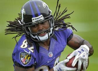 Baltimore Ravens And Raven