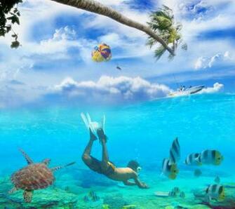 Summer Screensavers And Wallpaper