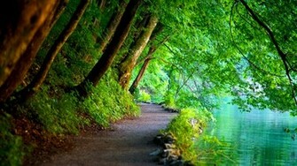 Wallpaper HD Desktop Online Breath Taking Nature