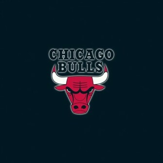 Chicago Bulls iPad Wallpaper HD Retina Air