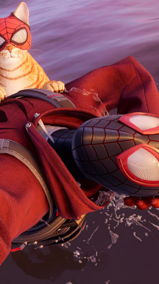 Spider Man Miles Morales Cat Ps5 Game HD 4k Wallpaper