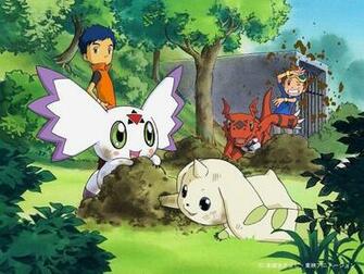 Digimon Tamers Wallpaper