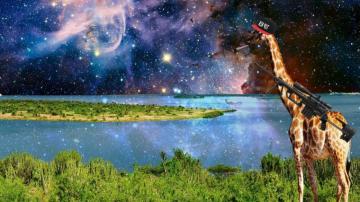 Best Dank Wallpaper Weird