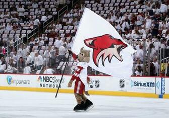 Phoenix Coyotes Hockey Nhl Wallpaper Background