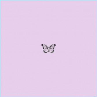 Lilac Color Wallpaper