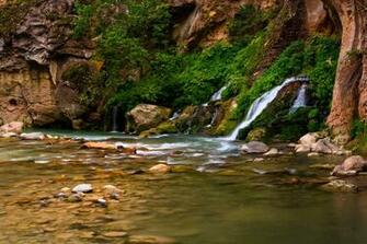 Zion Narrows Spring Wallpaper