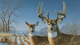 Spot Deer Wallpaperdeer Wallpaperwhitetail Html