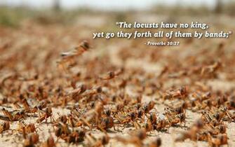 Proverbs Nature Bible Desktop Background Wallpaper