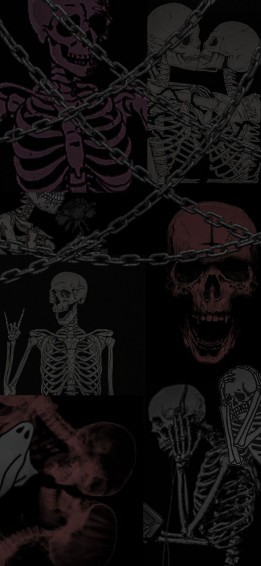 Skeleton Aesthetic Edgy Wallpaper Skeletons
