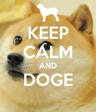 Doge Meme Wallpaper Wall