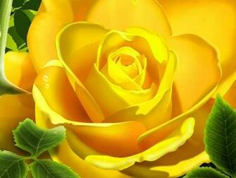 Wallpaper Rose Desktop And Background