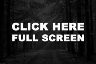 Black And White Forest Wallpaper HD Pretty