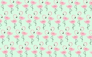 Flamingo Wallpaper HD Net