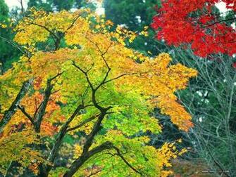 Wallpaper Seasonal And Screen Savers